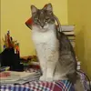 Отзыв от Зинаида Рубцова
